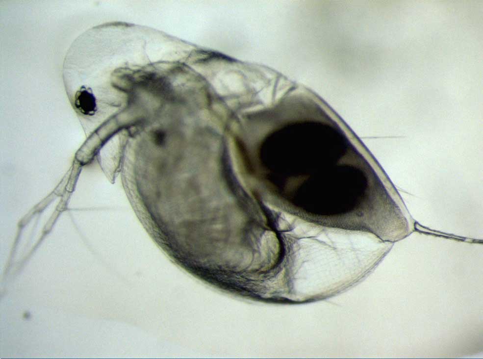 TP4_image1